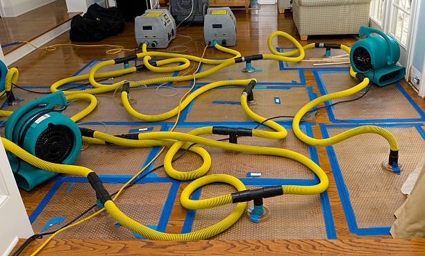 Professional Storm Water Damage Restoration technician working in Brightwood, VA